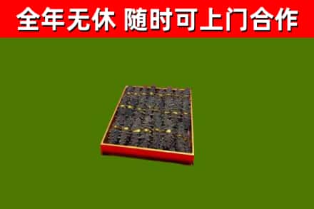 九龙坡回收海参